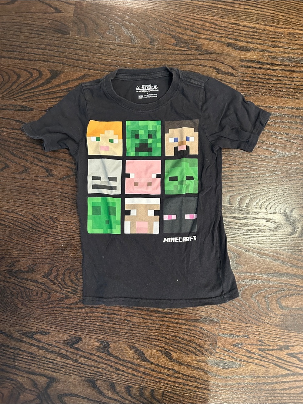 Minecraft Kids Black Short Sleeve Graphic Tee